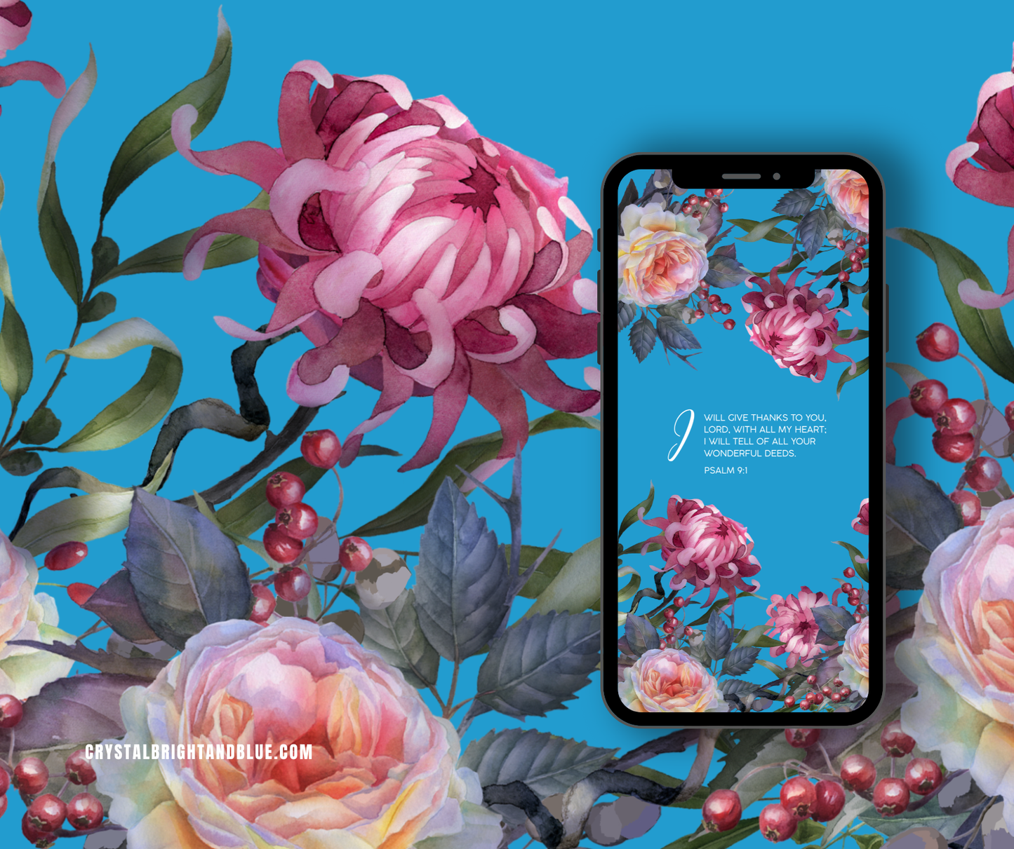 Give Thanks Family Pack