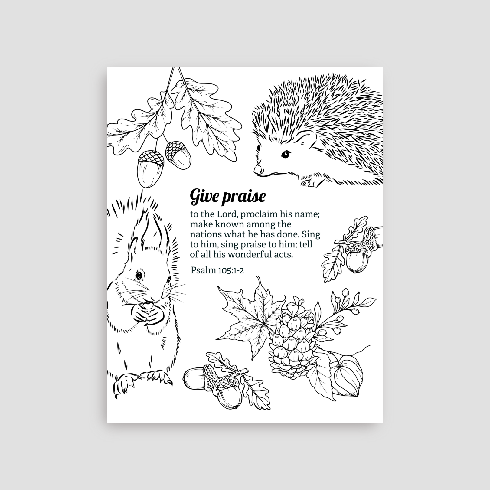 Rooted in the Word: Gratitude — 30 Bible Verse Coloring Pages