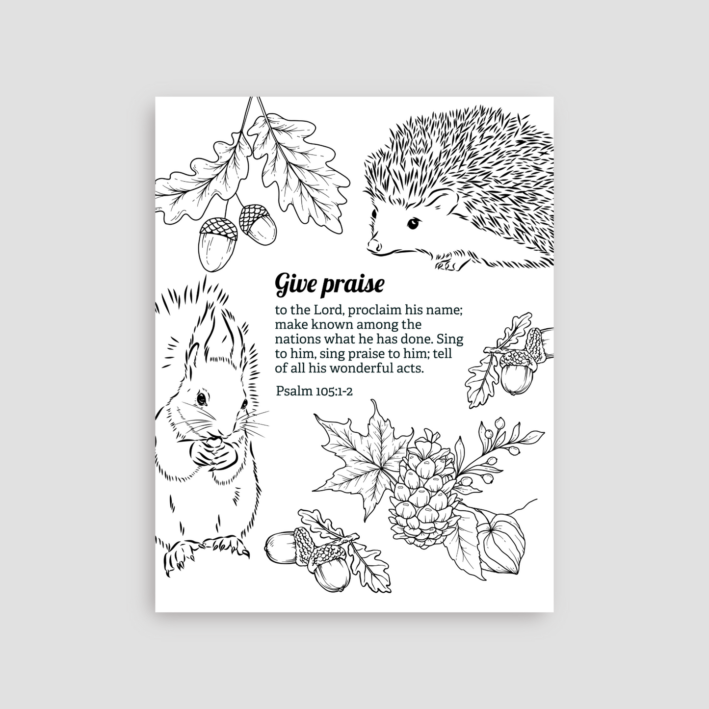 Rooted in the Word: Gratitude — 30 Bible Verse Coloring Pages