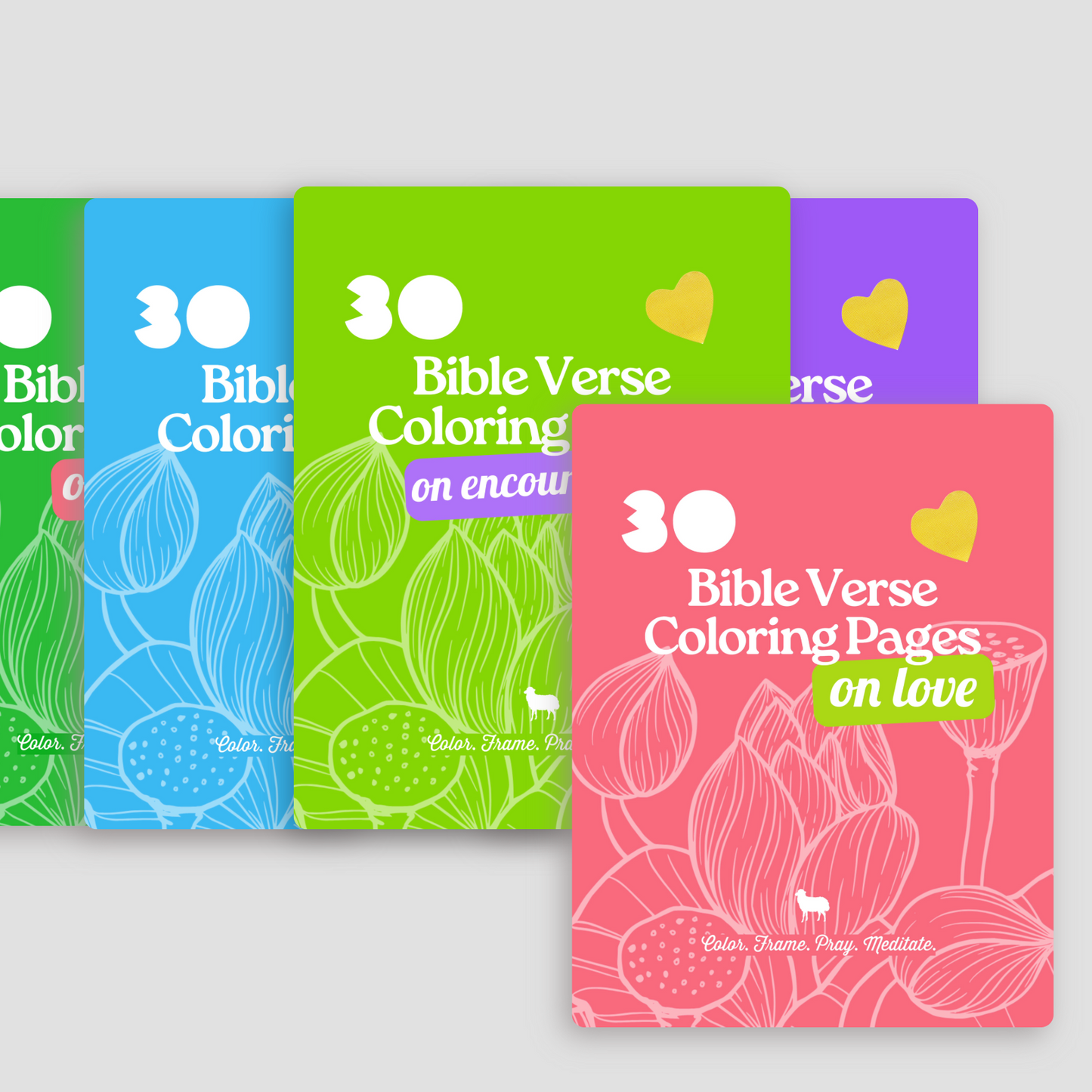 Rooted in the Word: Complete Series — All 5 Volumes