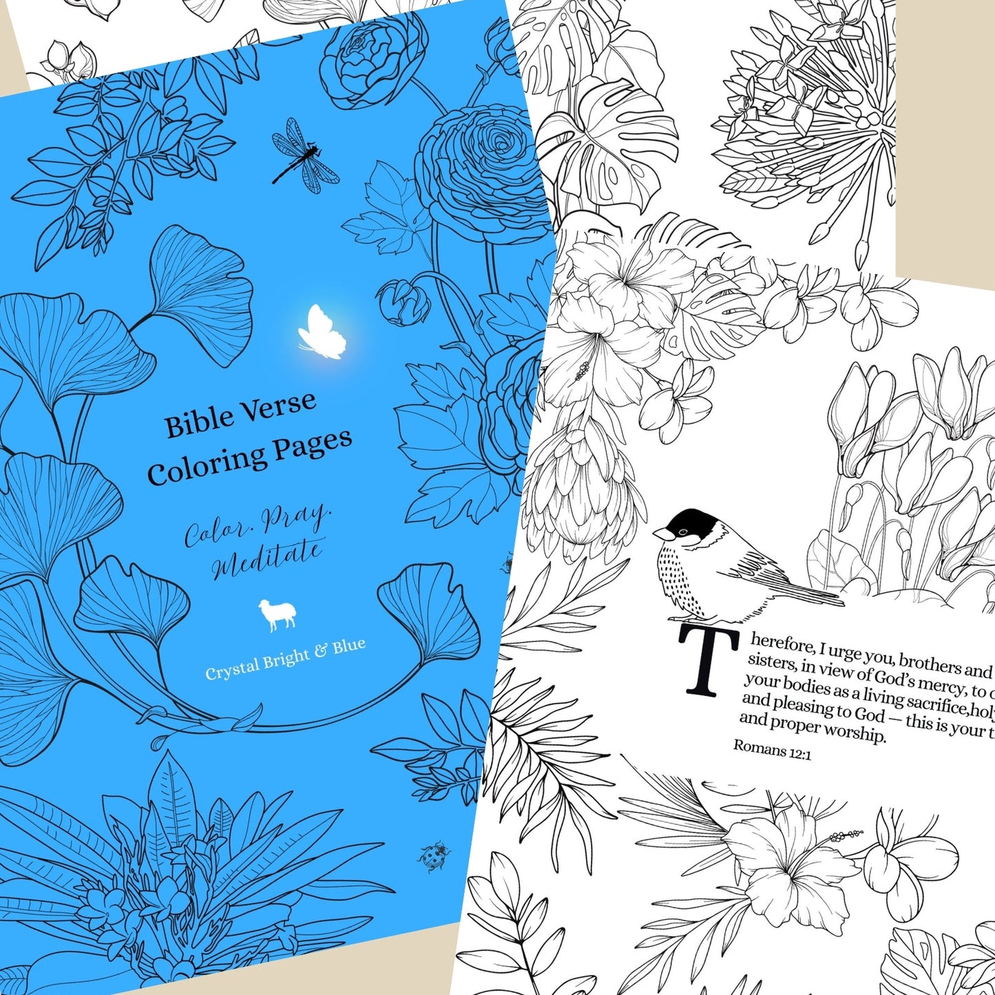 Bible Verse Coloring Pages - Digital Download