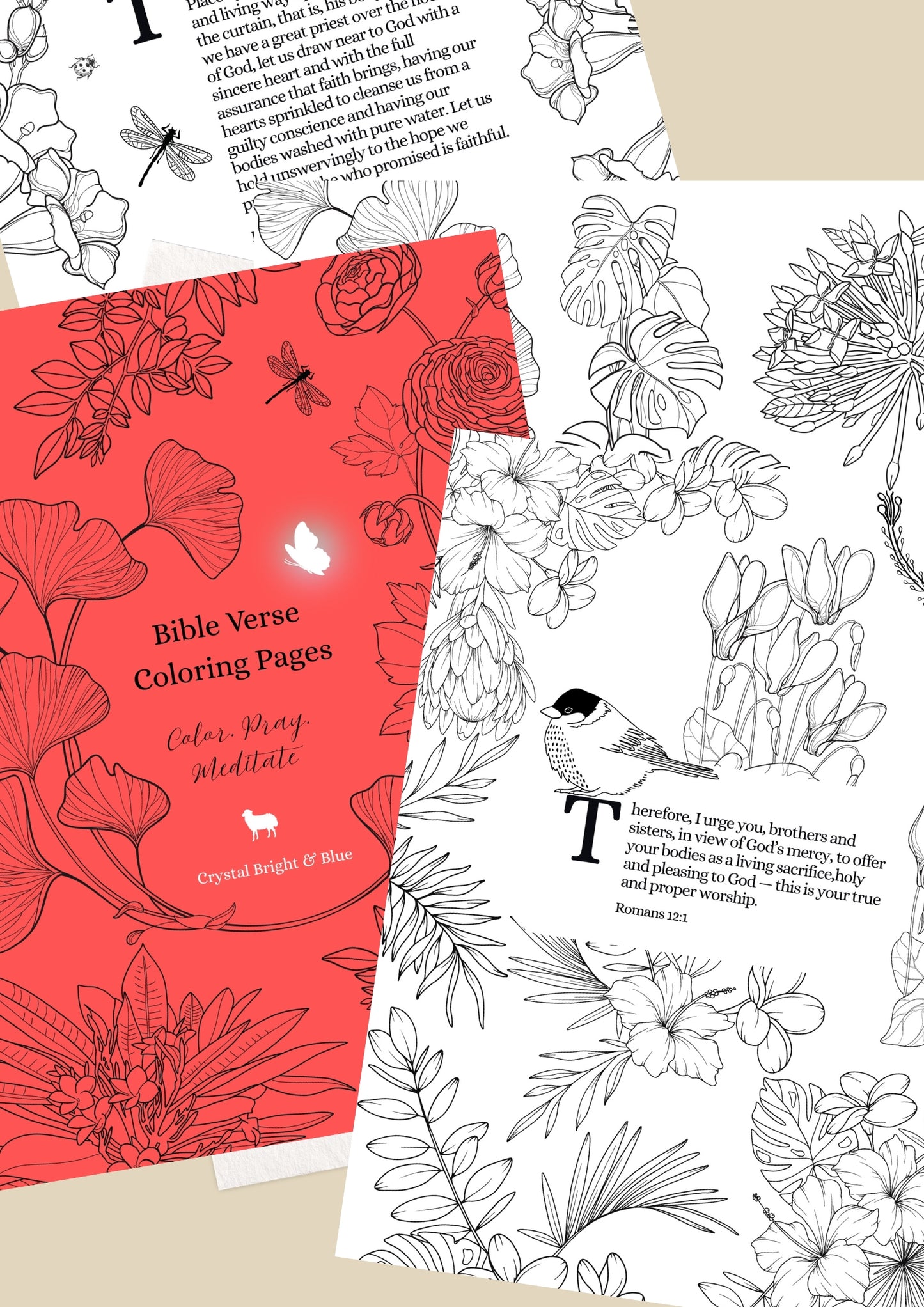 Bible Verse Coloring Pages - Digital Download
