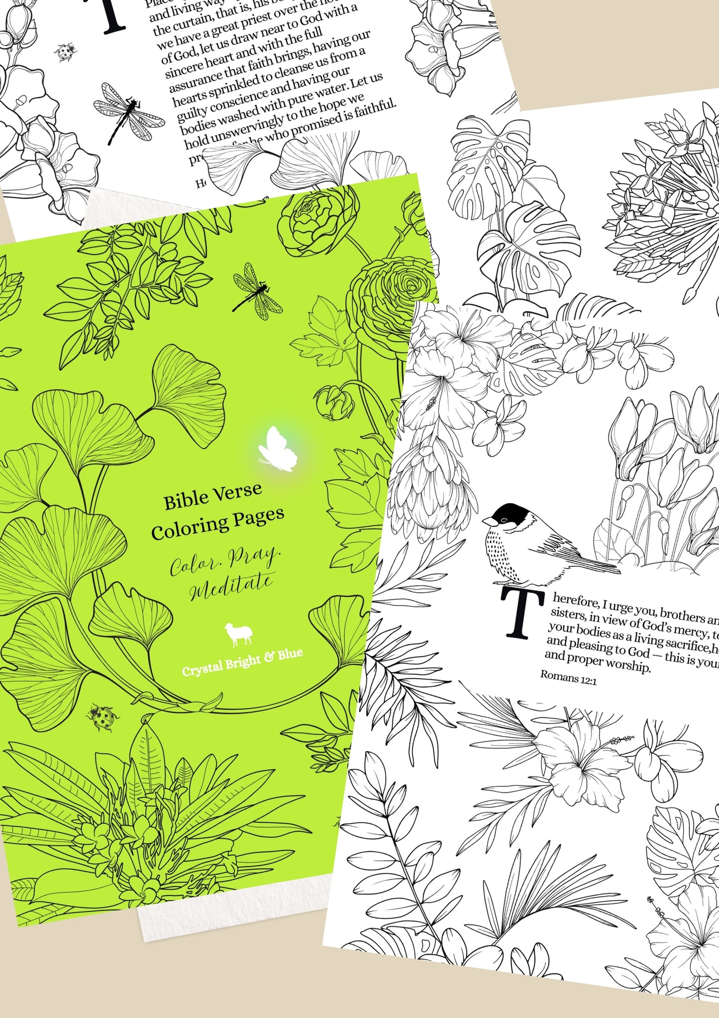 Bible Verse Coloring Pages - Digital Download